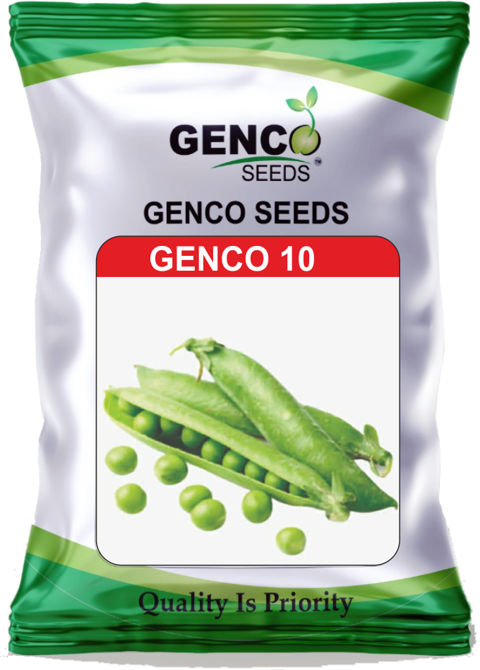 Pea (मटर)Genco 10 (Genco 10)