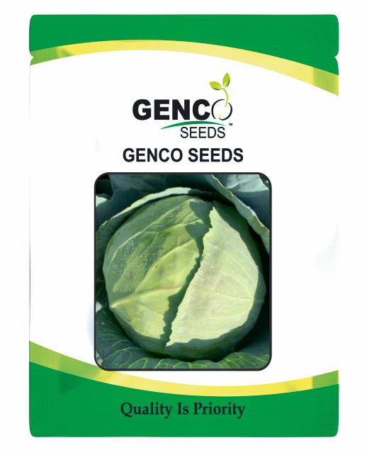 Cabbage (पत्ता गोभी)Genco 68 (जेनको 68)