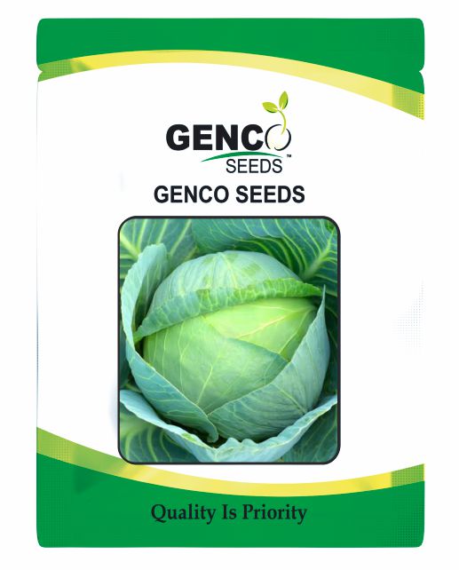 Cabbage (पत्ता गोभी)Genco 72 (जेनको 72)