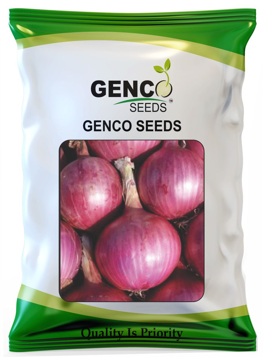 Onion (प्याज)GENCO RED (जेनको रेड)