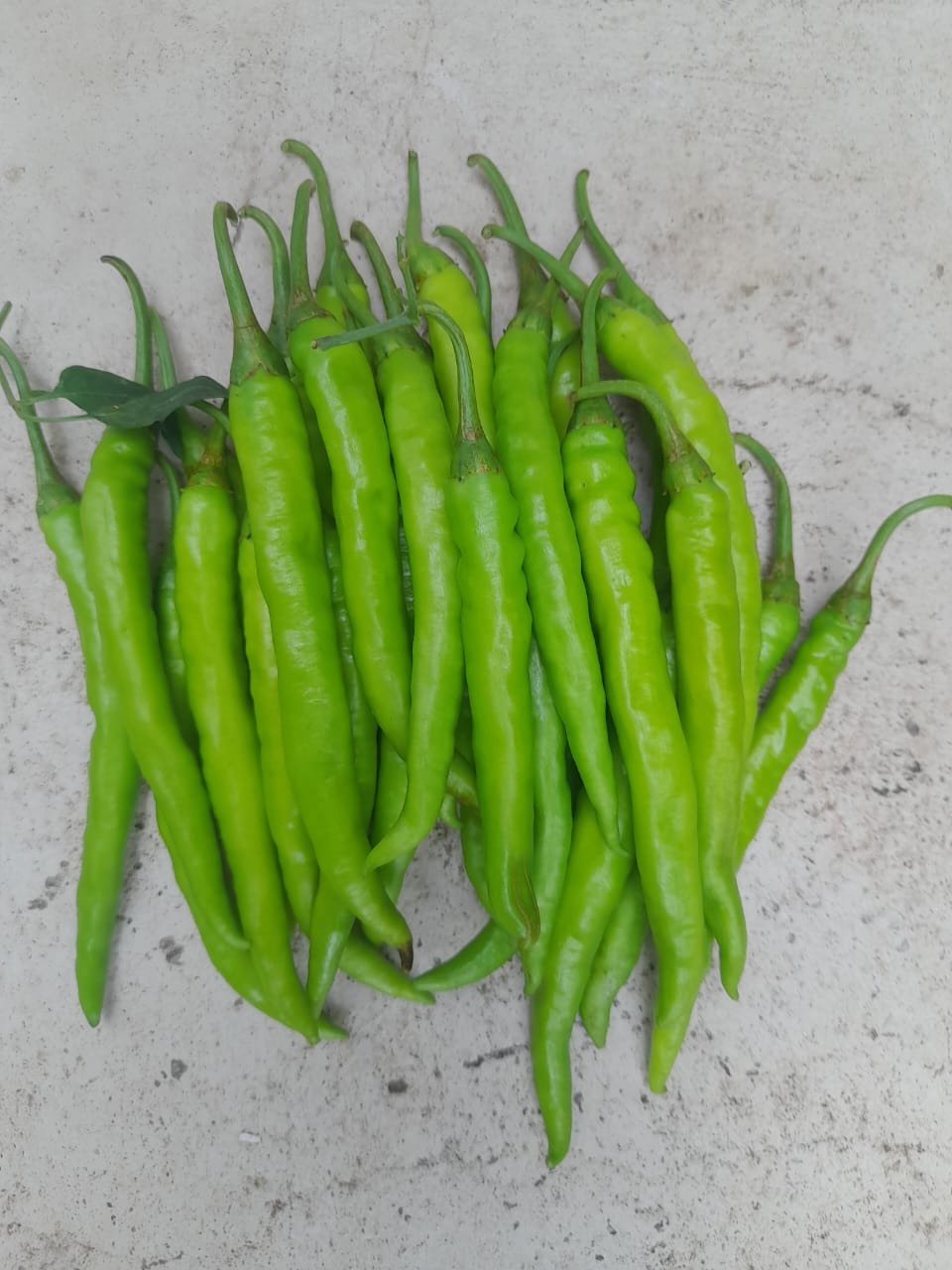 Chilli (मिर्च)Tejan (तेजन)